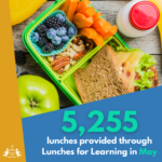 May Lunches for Learning Stats