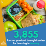 January Lunches for Learning Stats